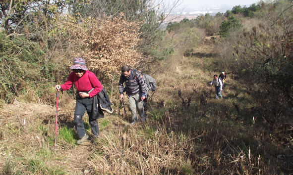 dscf5470.jpg