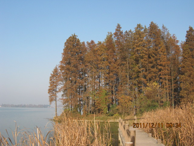 img_5289.jpg