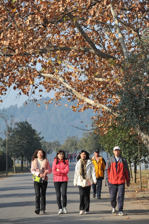 20111211 ж361 125.jpg