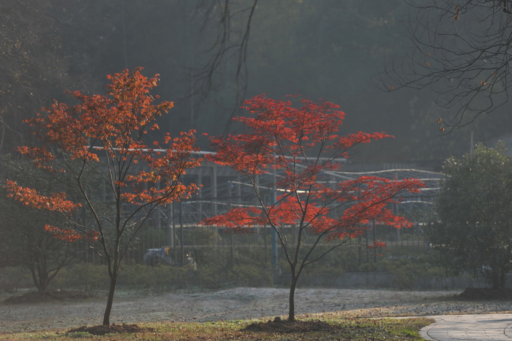 20111211 ж361 002.jpg
