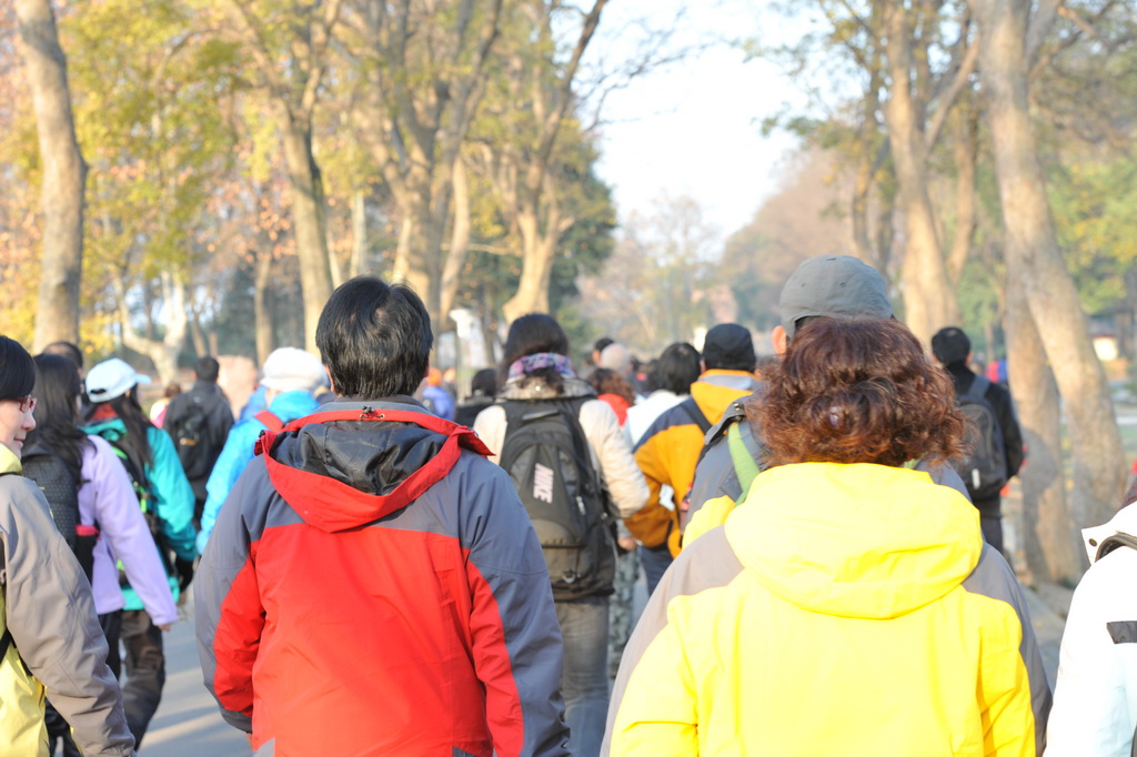 20111211 ж361 001.jpg