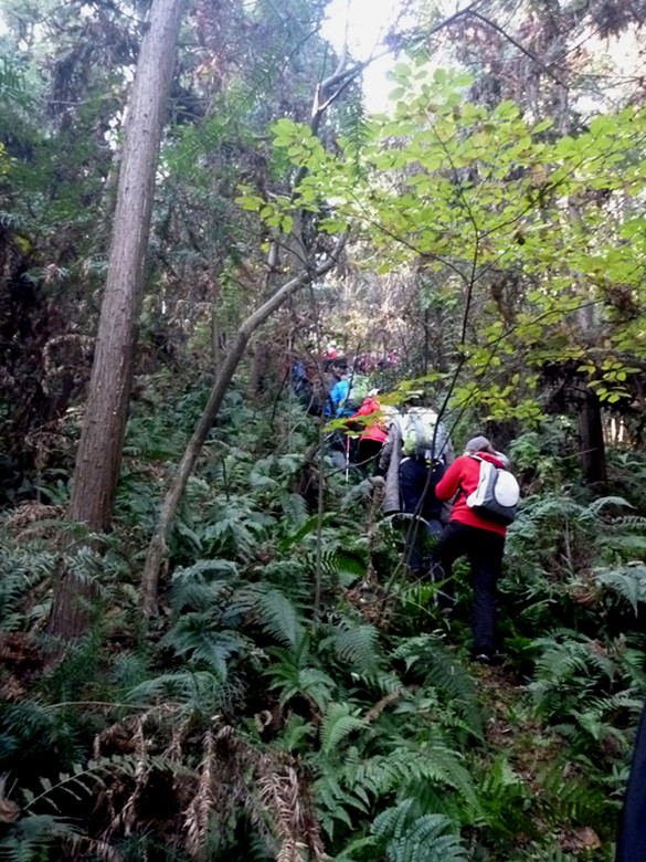 p1090804_.jpg