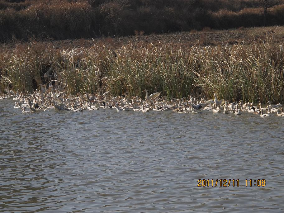 img_1307.jpg