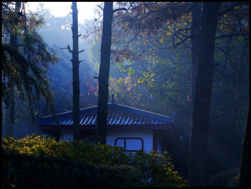 conew_1211ĥɽ 072_conew1.jpg