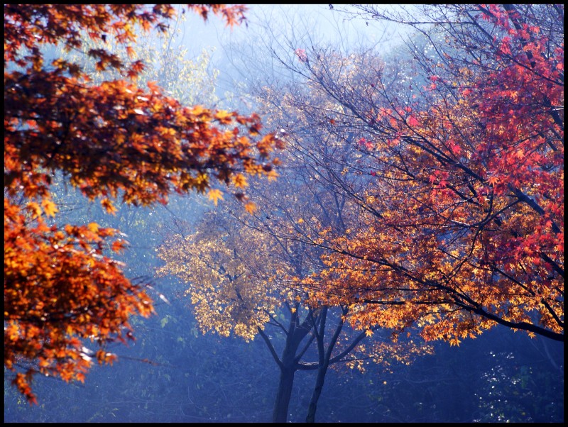 conew_1211ĥɽ 091_conew1.jpg