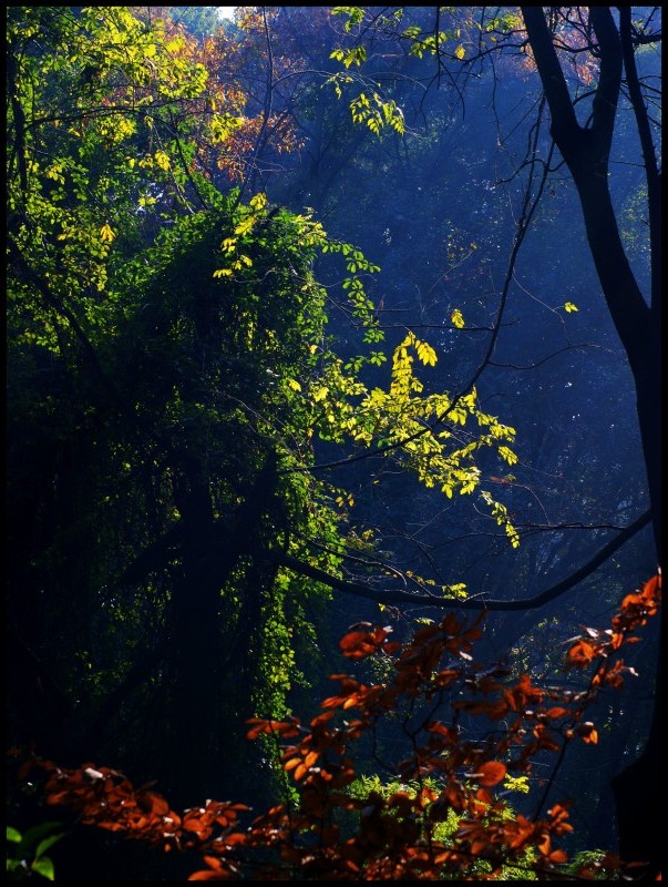 conew_1211ĥɽ 101_conew1.jpg