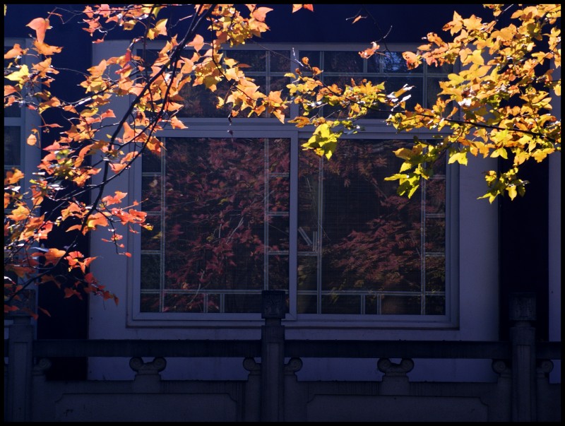 conew_1211ĥɽ 133_conew1.jpg