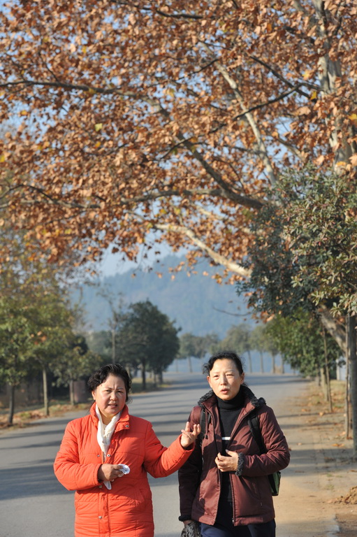20111211 ж361 129.jpg