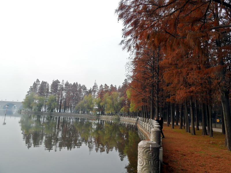 sam_5960_СС.jpg