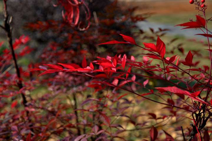 dsc_0359.jpg