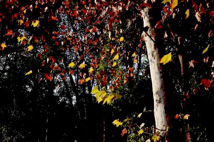 dsc_0483.jpg