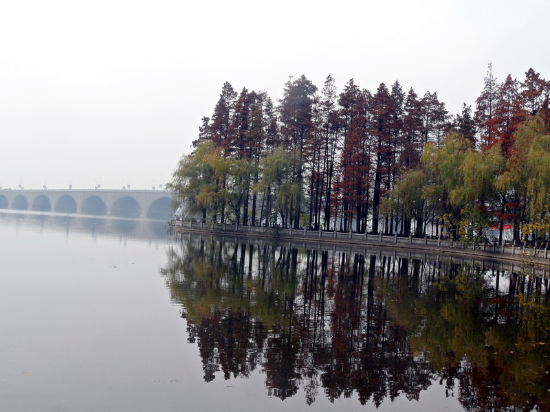 sam_5963_СС.jpg
