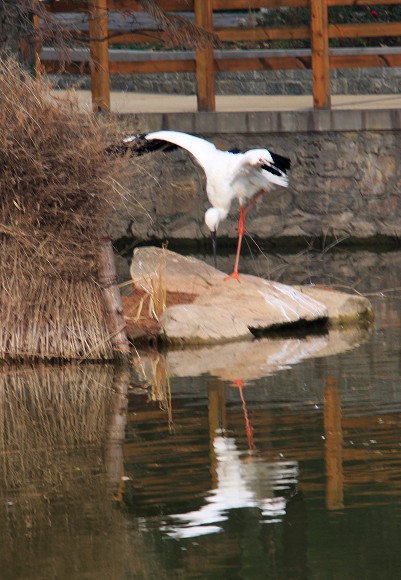 img_6369.jpg