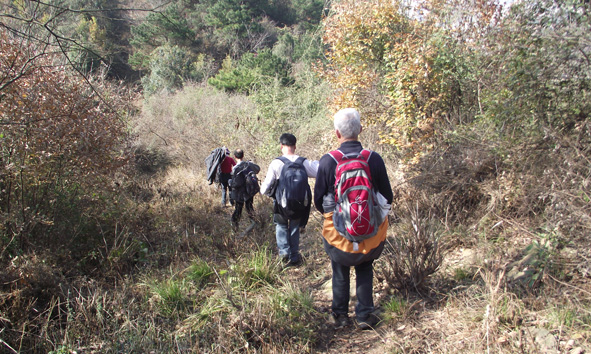 dscf5477.jpg
