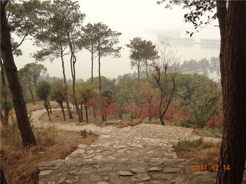 dsc00592_.jpg