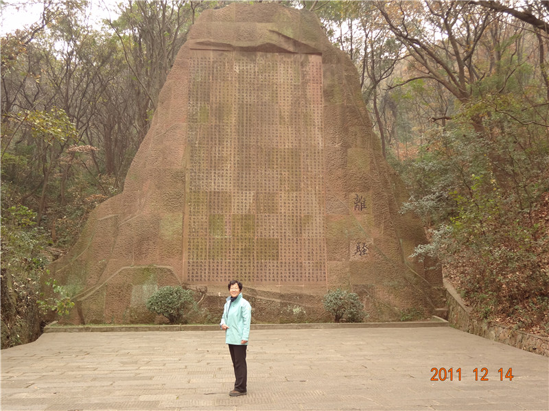 dsc00594_.jpg