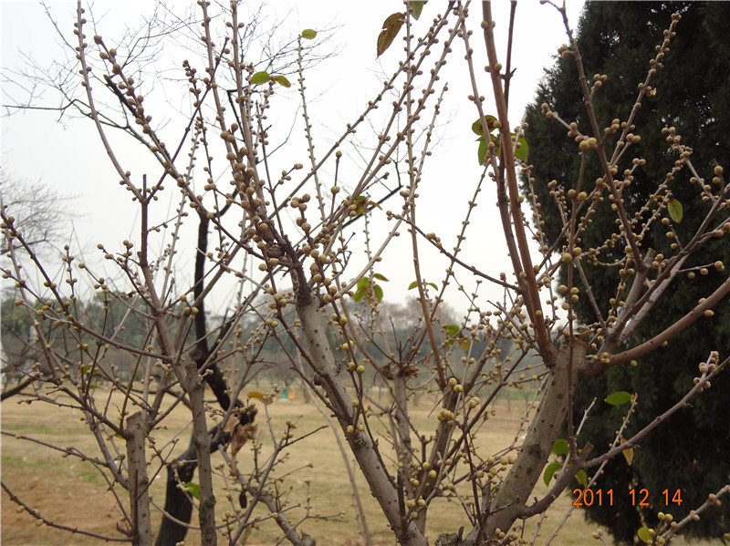 dsc00582_.jpg
