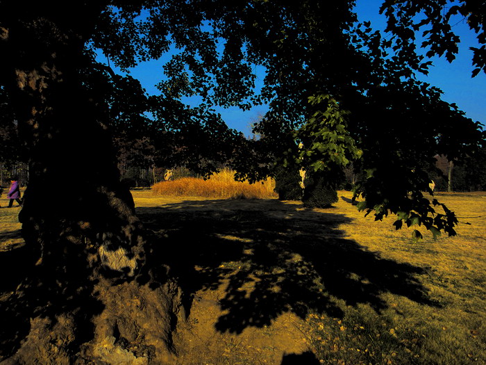 361-27.jpg