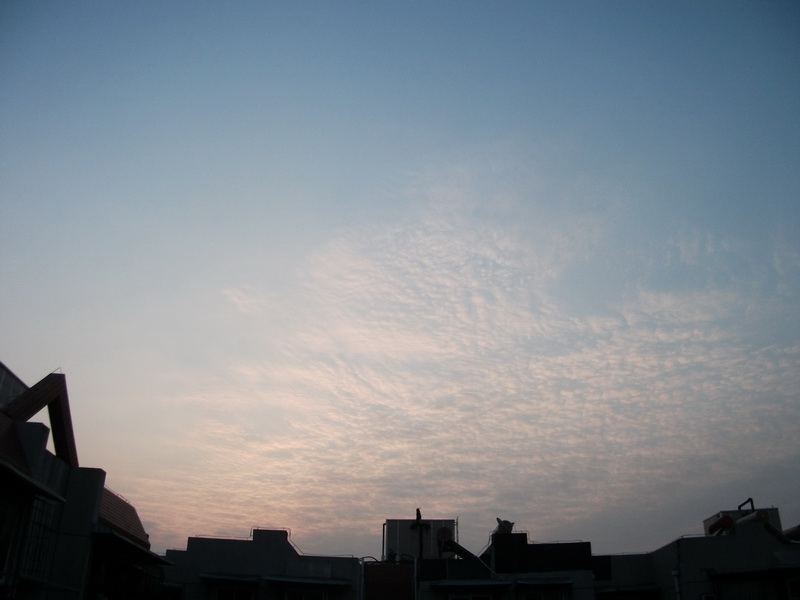 dscf0001.jpg