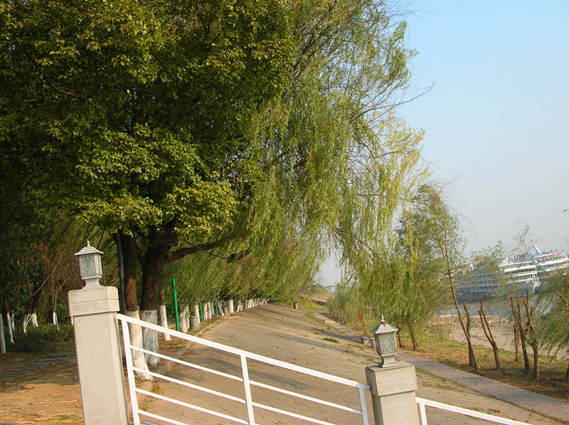 dscn3895_.jpg