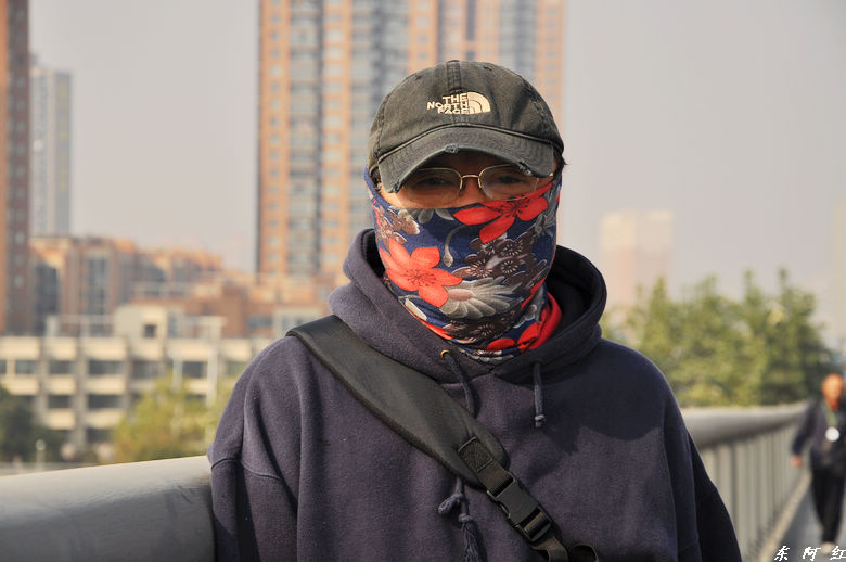 dsc_0393.jpg