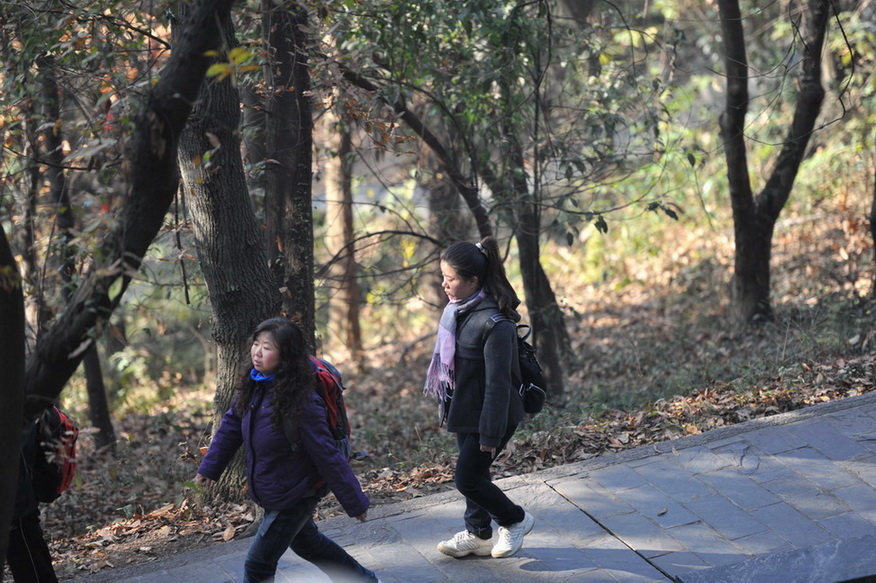 20111211 ж361 097.jpg