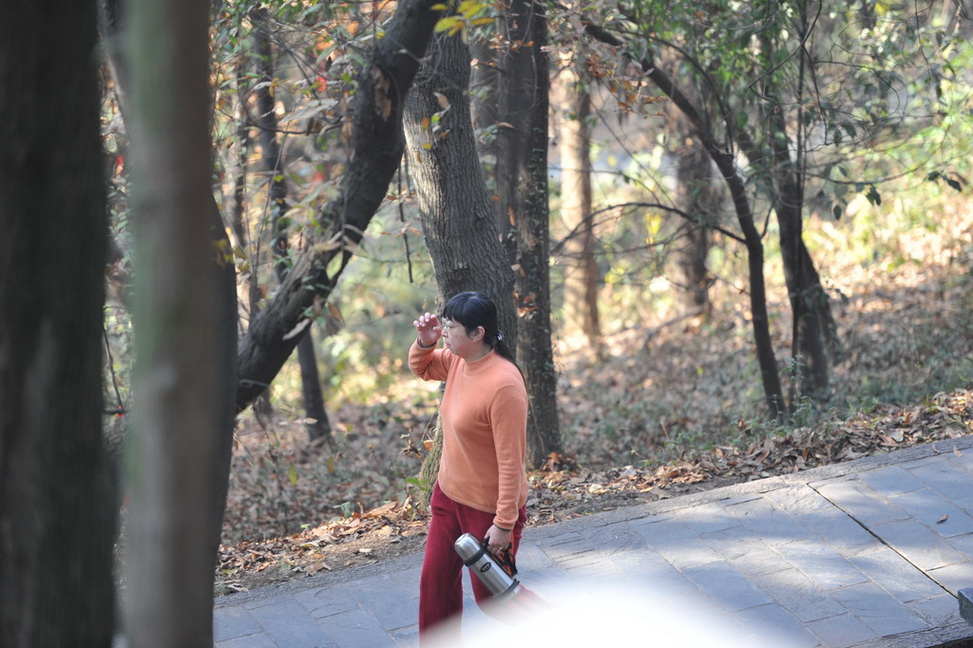 20111211 ж361 100.jpg