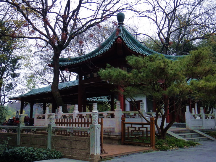 dsc01157.jpg