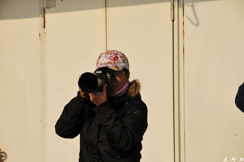 dsc_0312.jpg