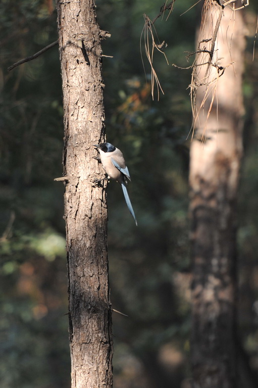20111211 ж361 143.jpg