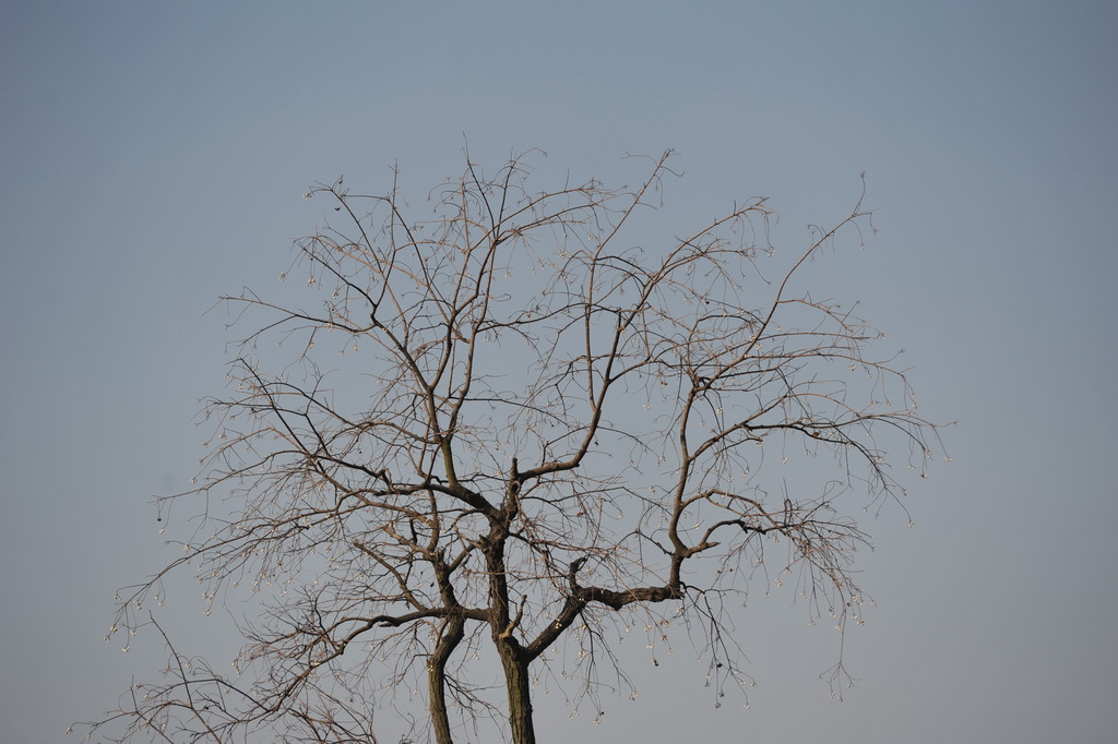 20111211 ж361 176.jpg