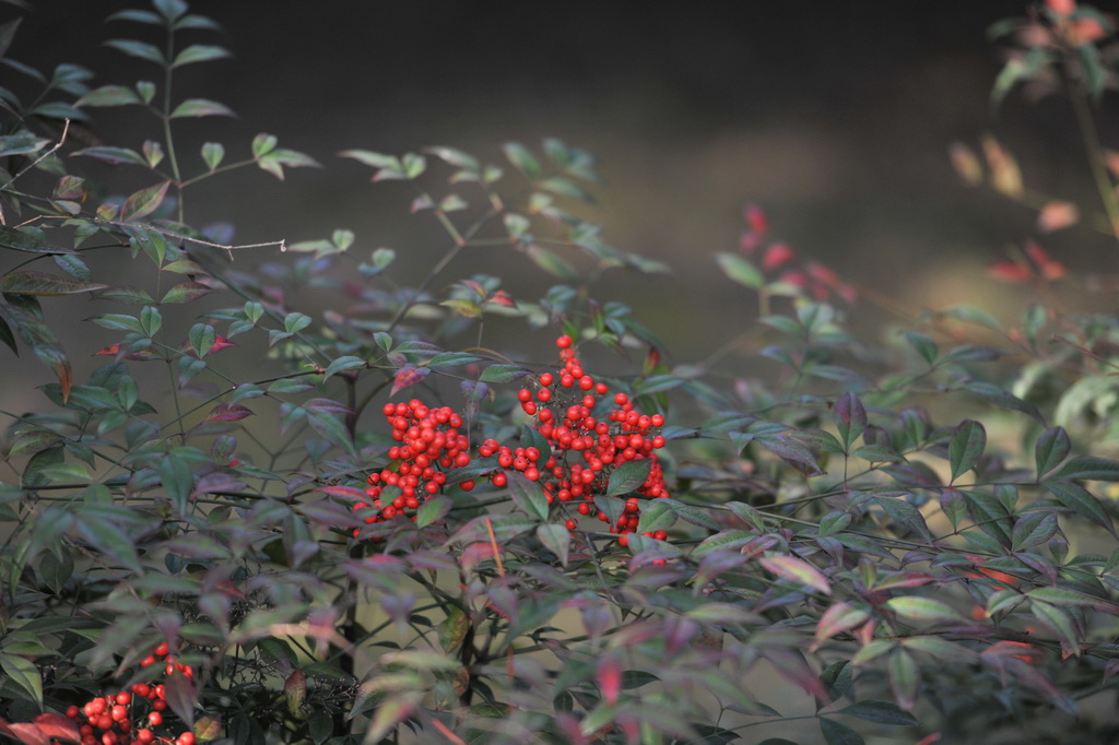 20111211 ж361 188.jpg