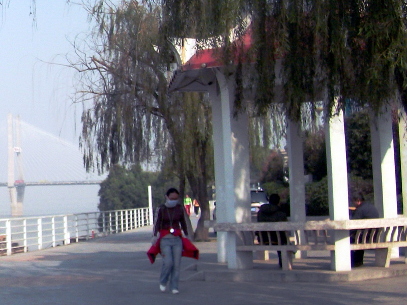 dscf0063.jpg