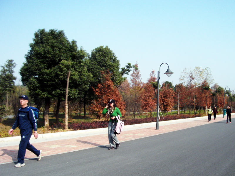 dscf0078.jpg