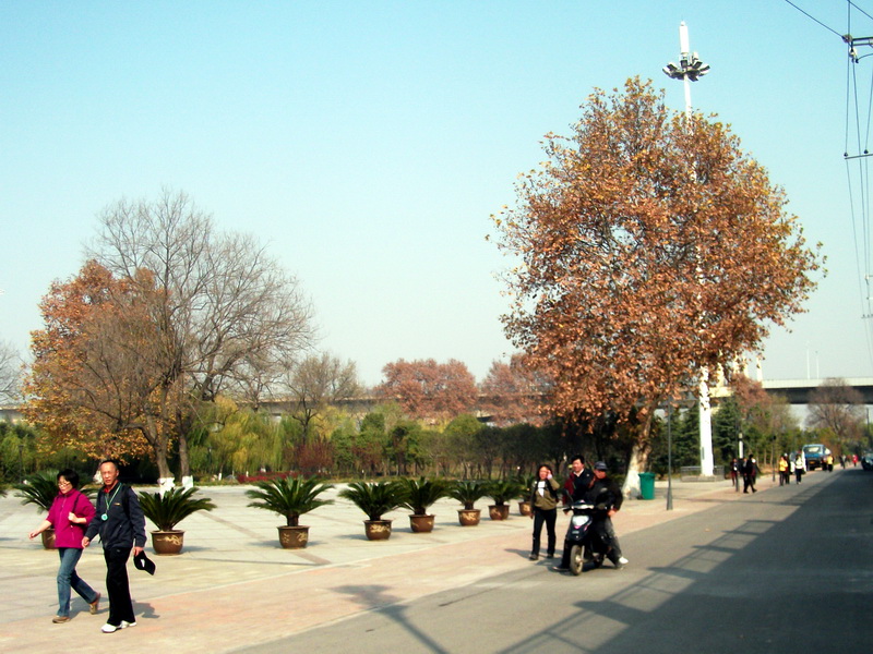 dscf0084.jpg