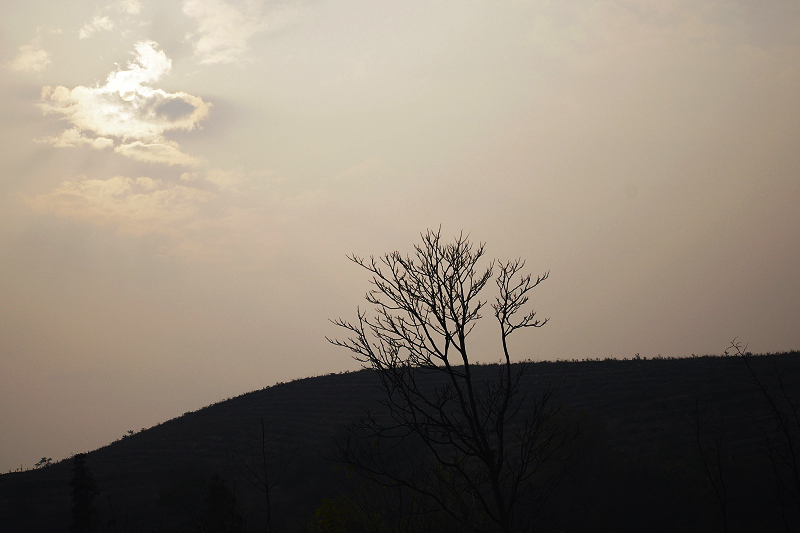 imgp1337.jpg