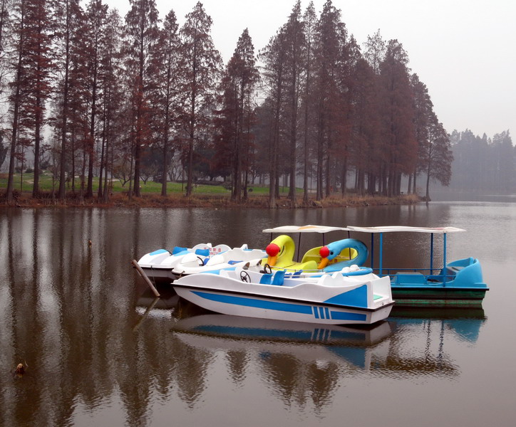 sam_6132_СС.jpg