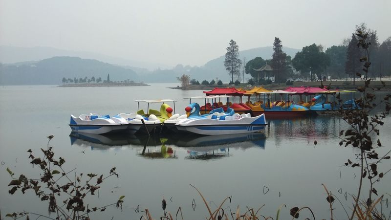 dscf7801.jpg