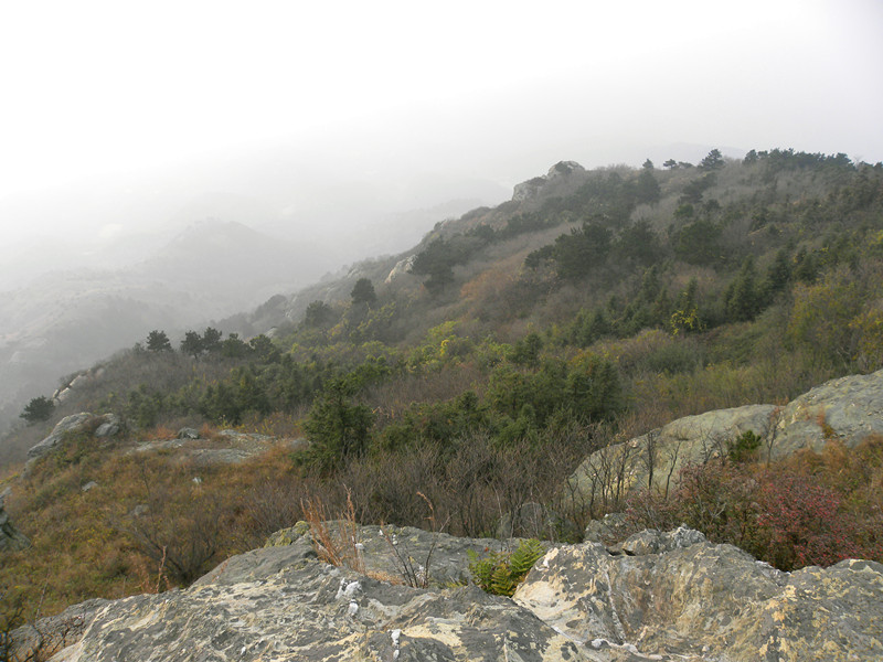 dscn6847_.jpg
