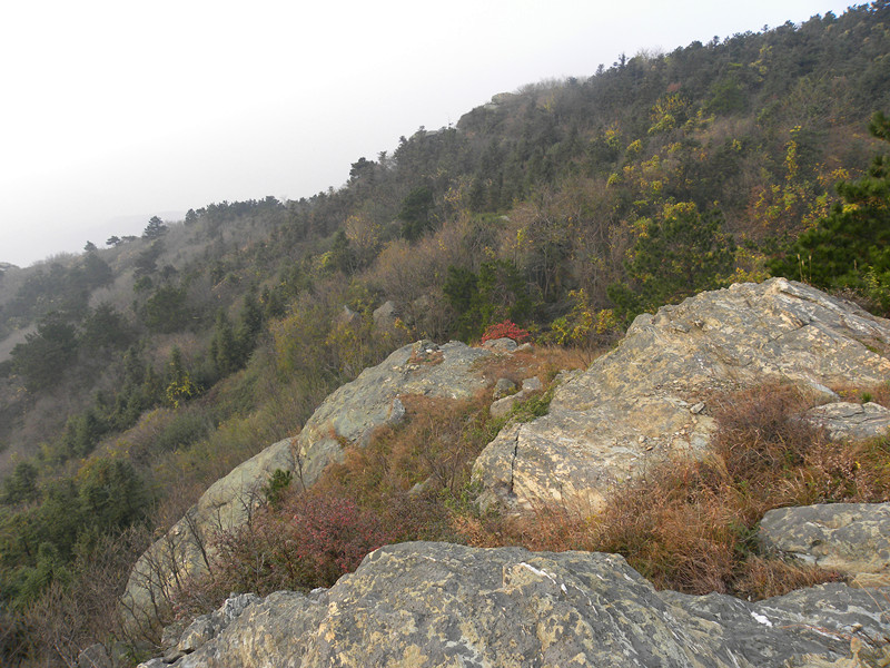 dscn6848_.jpg