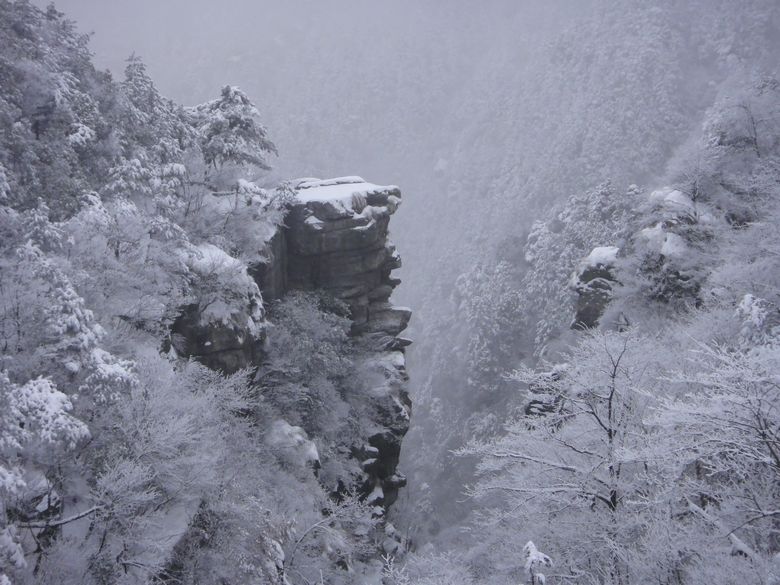 201112510592246174.jpg