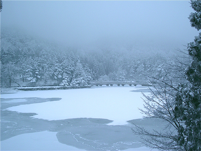2011124196557536.jpg