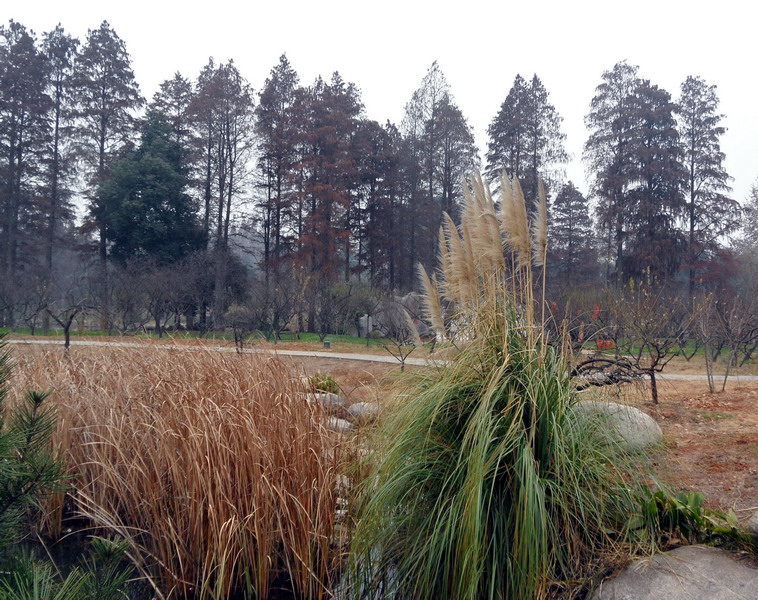 sam_6162_СС.jpg