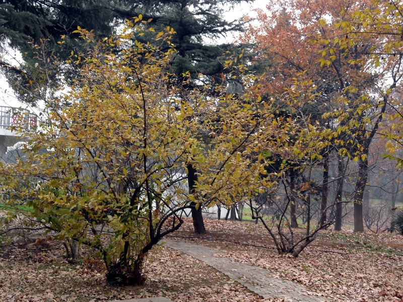 sam_6191_СС.jpg