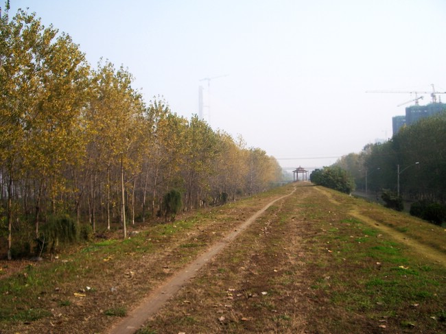 01.jpg