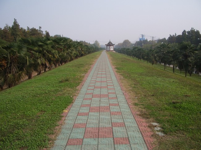 02.jpg