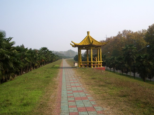 06.jpg