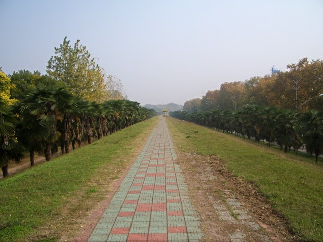 05.jpg