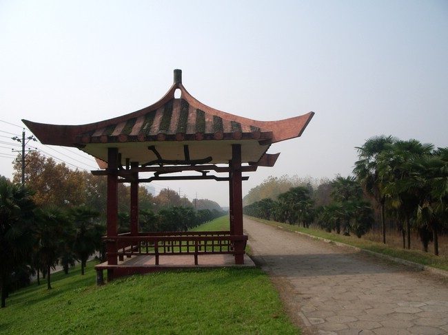 08.jpg