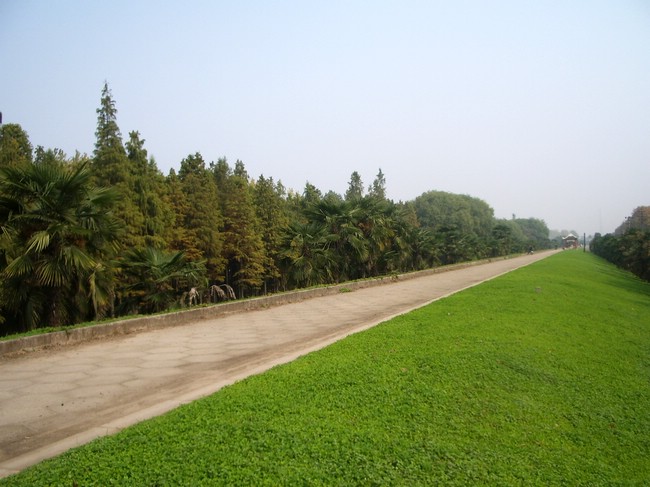 2011122221543116382.jpg